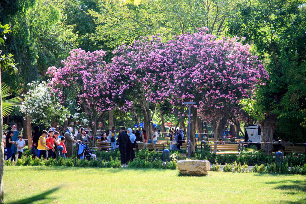 Sanliurfa (Edessa)